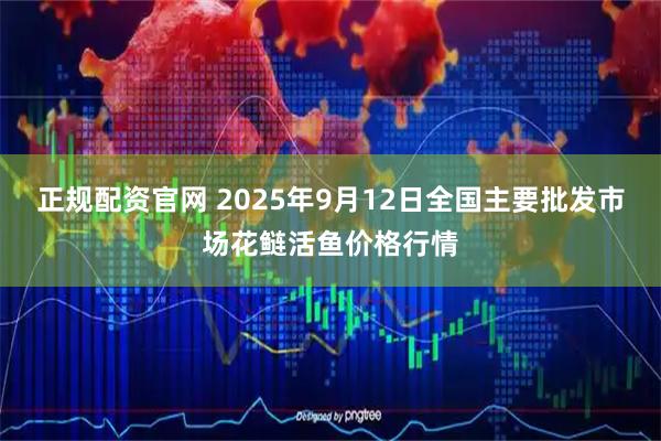 正规配资官网 2025年9月12日全国主要批发市场花鲢活鱼价格行情